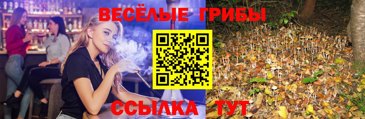 Псилоцибиновые грибы мицелий Луга